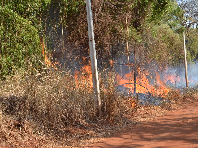 Vídeo de fogo que atingiu a área rural de Dourado
