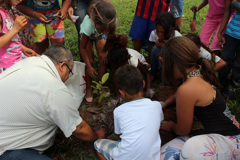 Prefeitura de Boa Esperança do Sul realiza plantio de árvores
