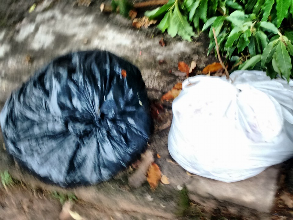 Moradores reclamam de limpeza pública em Ribeirão Bonito