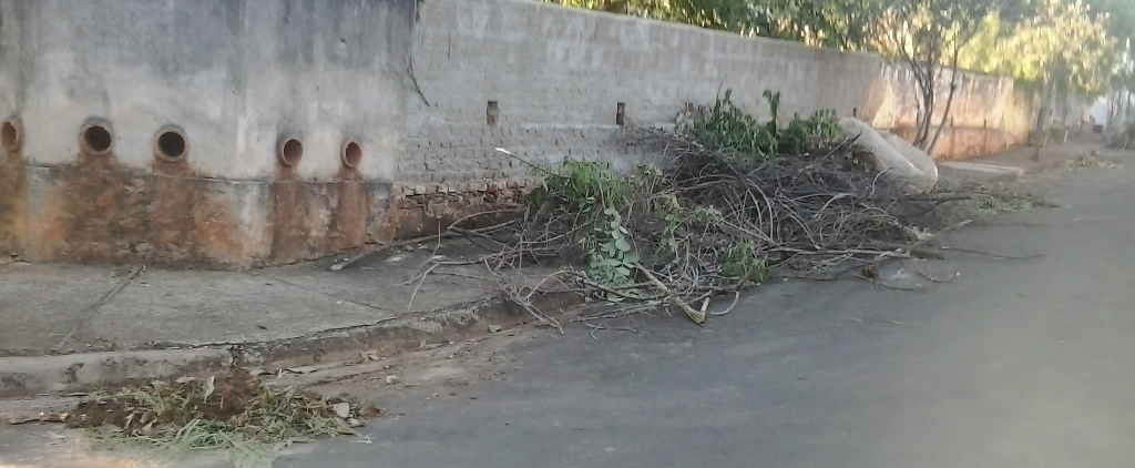 Prefeitura de Ribeirão Bonito orienta sobre coleta de lixo de quintal