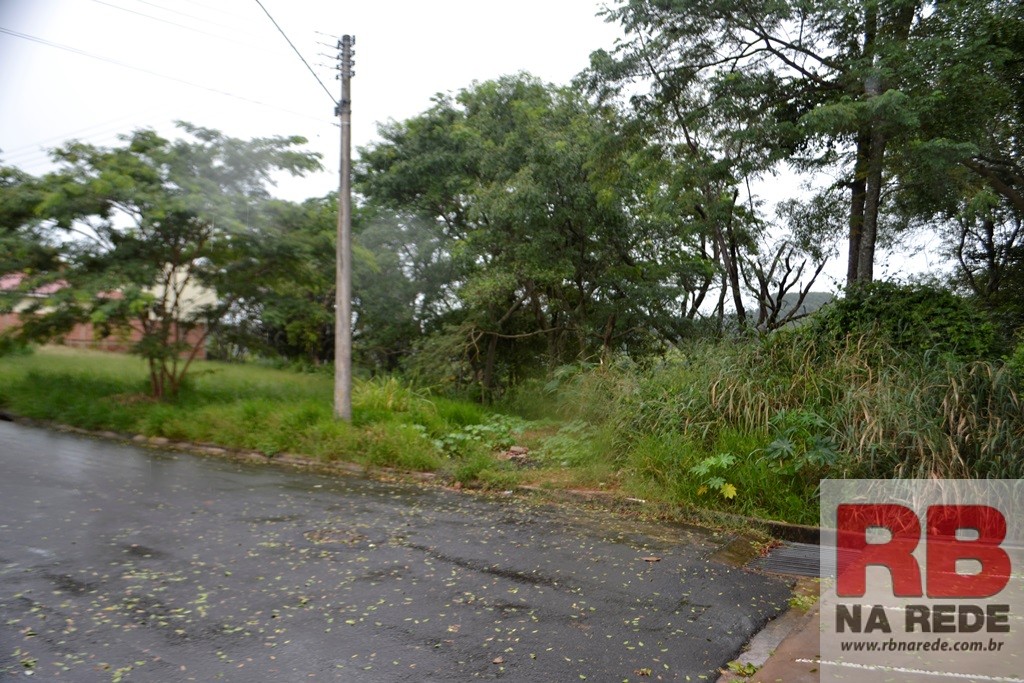 Moradores de Ribeirão Bonito reclamam de mato alto em terrenos