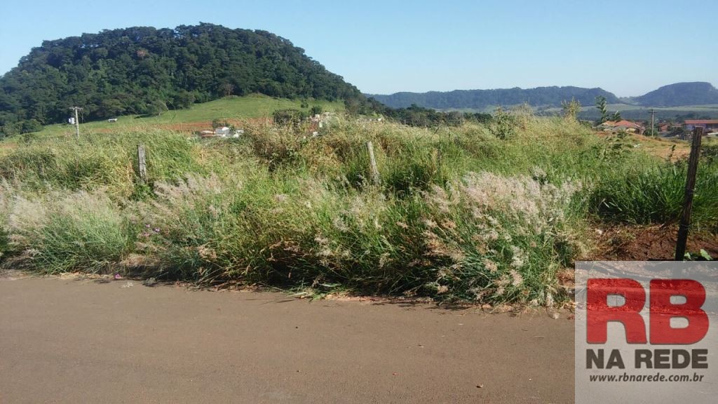 Ribeirão Bonito: População reclama de mato alto em recinto