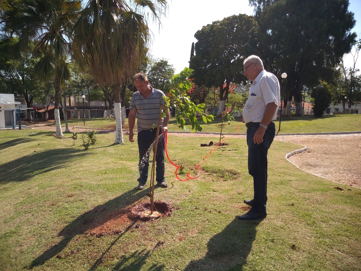 Prefeitura de Ribeirão Bonito realiza o plantio de mudas de árvores