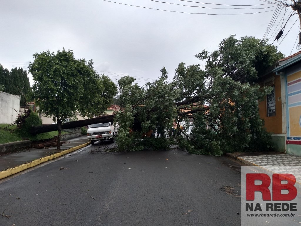 Árvore cai e atinge casa e veículo em Ribeirão Bonito