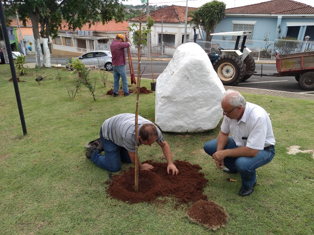 Prefeitura de Ribeirão Bonito adquire e planta mais mudas de árvores